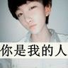 宠物猫狗知识